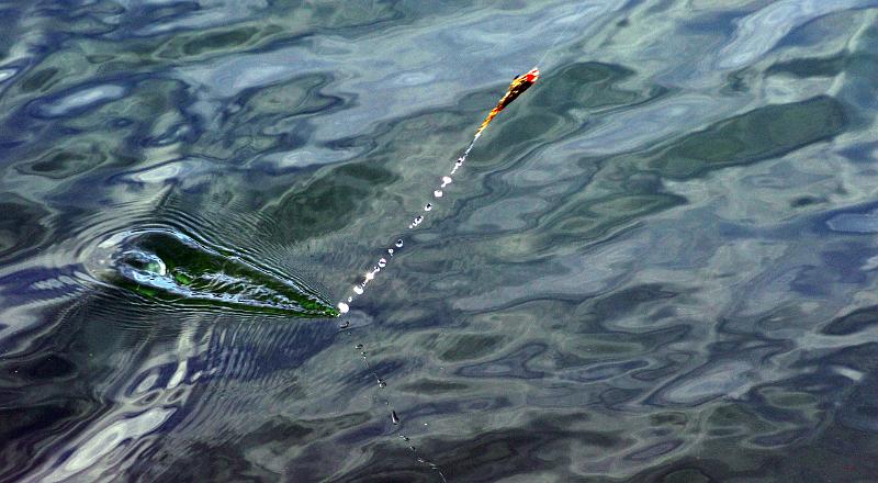 Peche a la mouche ab3.JPG